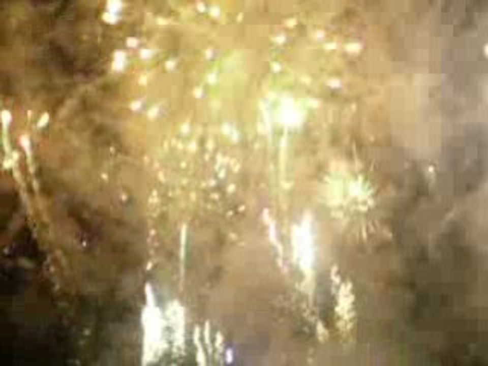 Les vendanges de Montmartre 2008