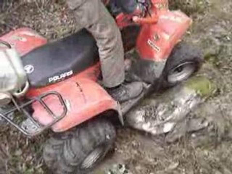 MOV03318