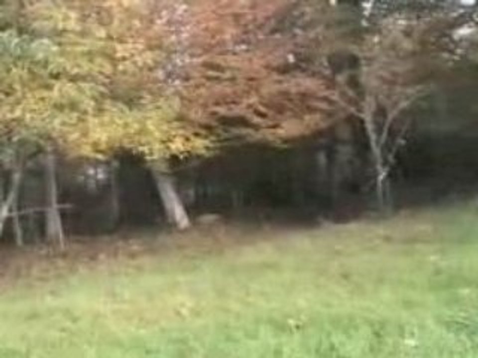 Bretagne 31X08