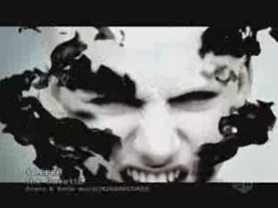 The Gazette - Leech