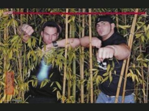 Jeff end Matt hardy boys 10.2008