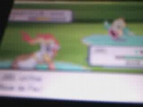 simiabrase lev 100 vs boustiflor lev 65