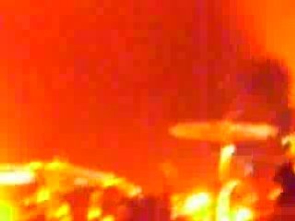 C0nfusi0ns Printanières (1) - BB Brunes (29.10.08)