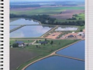 Cooking Catfish: Quick, simple recipes