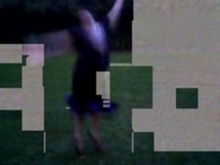 petite maison dans la prairie1