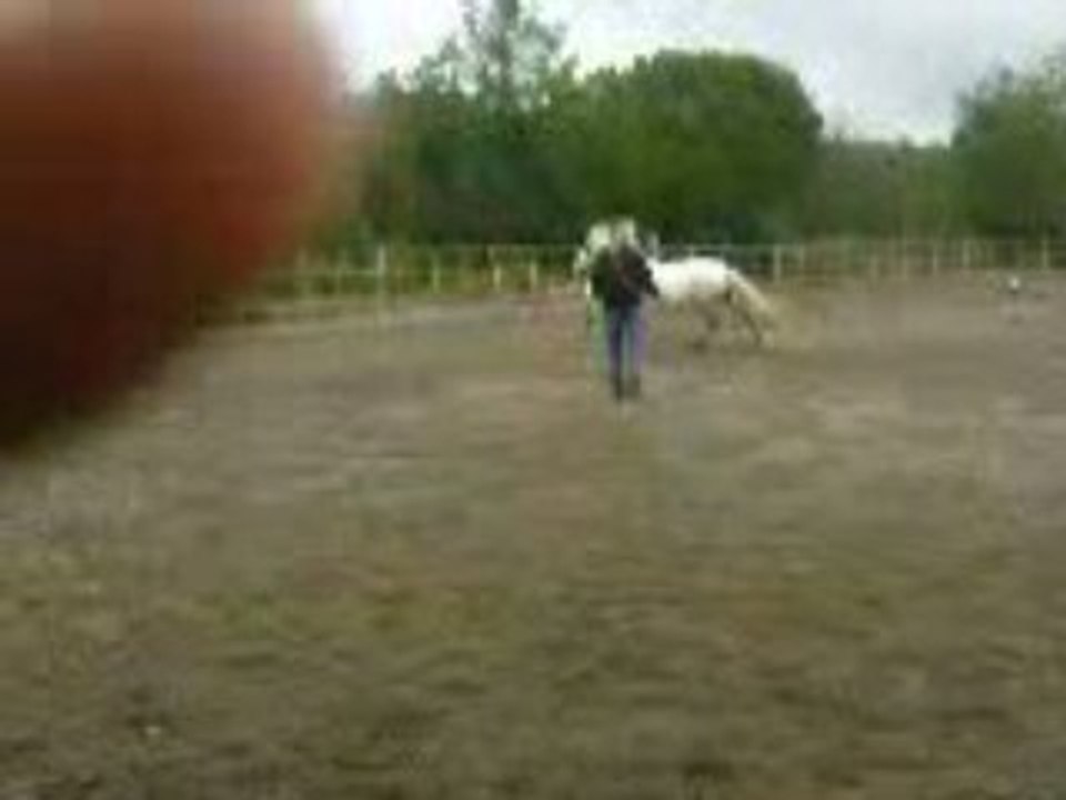 Cou de cul a la longe