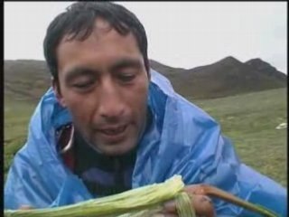 Qhapaq Ñan, in search of the Great Inca Road cut scene 3