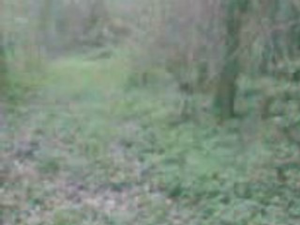 VID031