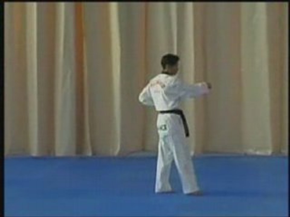 1 ER POOMSE - Taegeug iljang