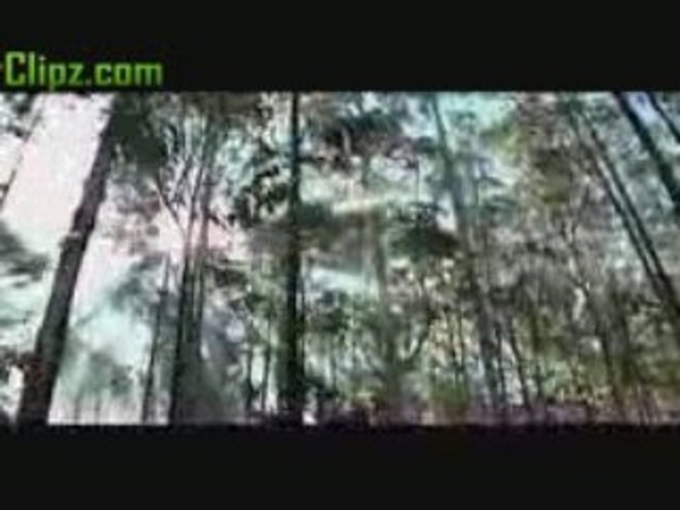 Paramisivan song " OruKiliKaadhalil "