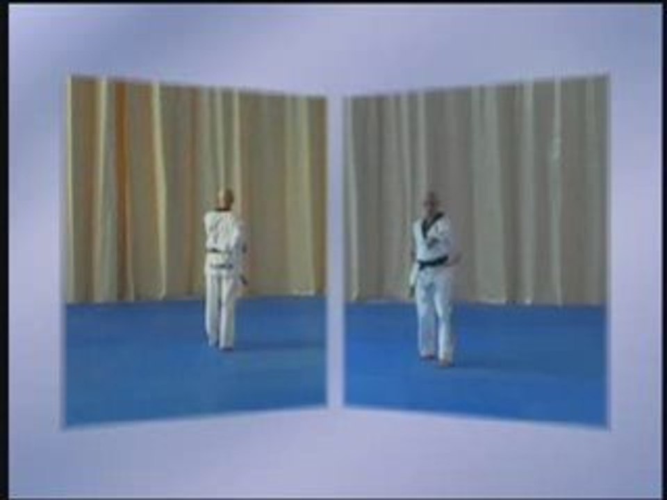 2 EME POOMSE - Taegeug yijang