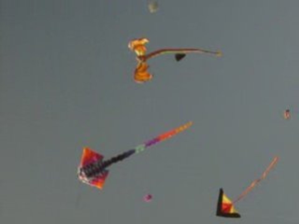 CERF VOLANTS A FREJUS