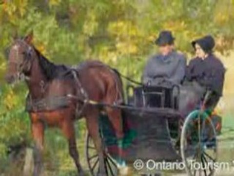 Comfort Inn Waterloo Video Tour