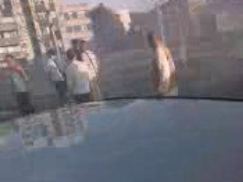 cortege 25