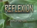 Reflexion