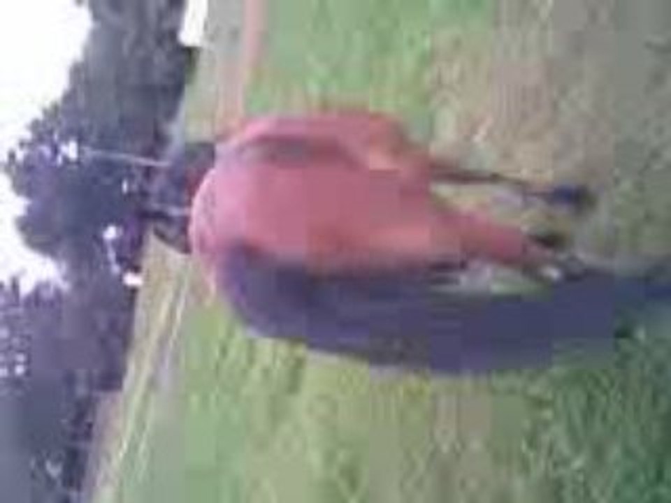 Moi et Claire au centre équestre