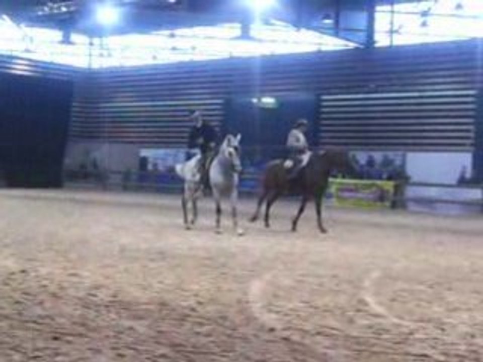 Salon du cheval