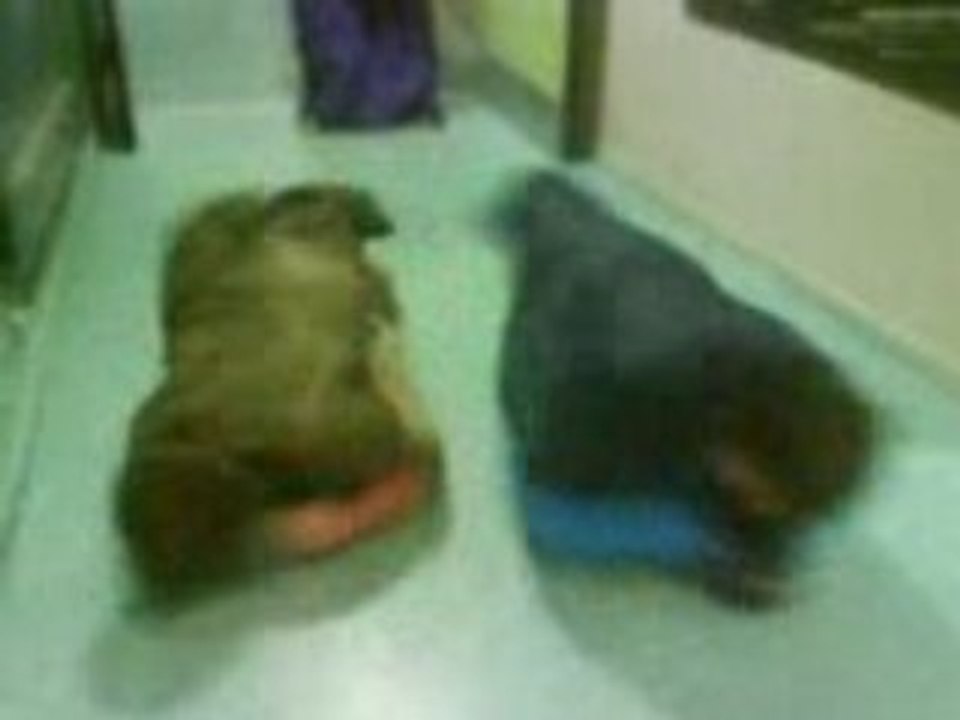 Course de sac de couchage aurore nico