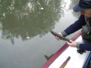 sandre marco no kill 4