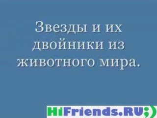 Супер-прикольная подборка знаменитостей и их двойников ;)