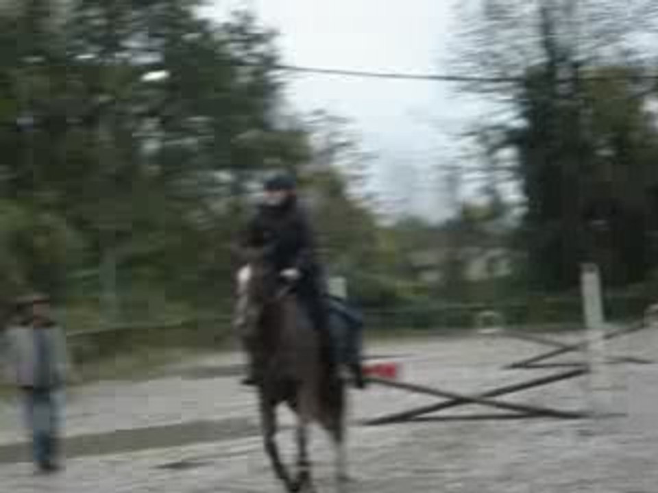 saut d'obstacle stage gitane