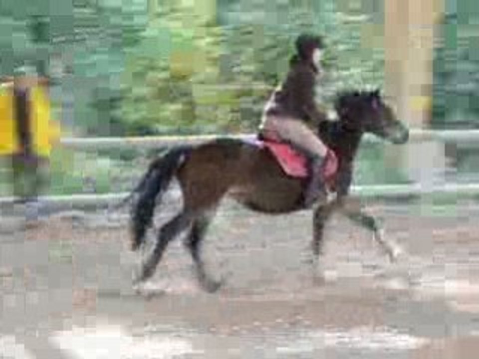 Obstacle Hérani & Moi 31.10.08