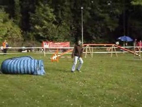 Laïka agility désastre