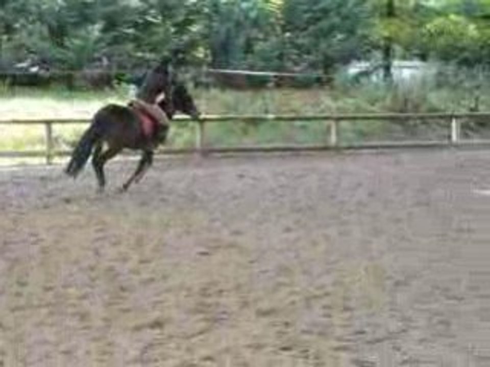 Saut avec Hérani