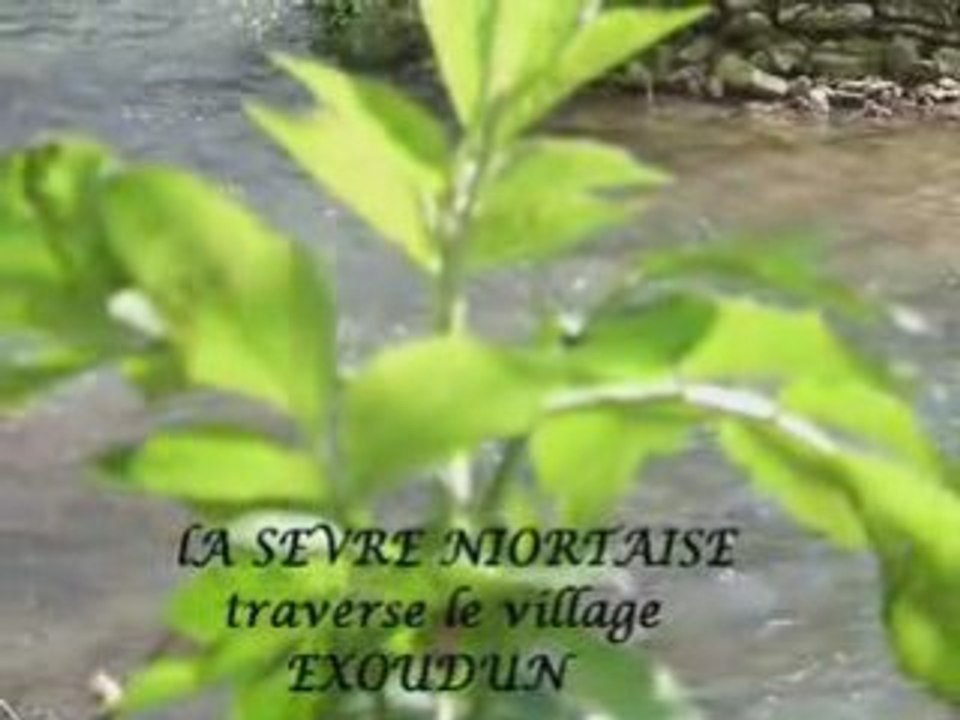 La SEVRE NIORTAISE