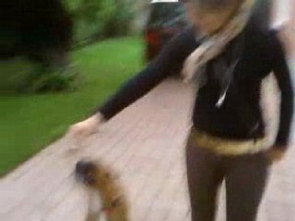 Chipie..