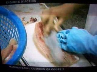 tout sur le poisson panga - part-3