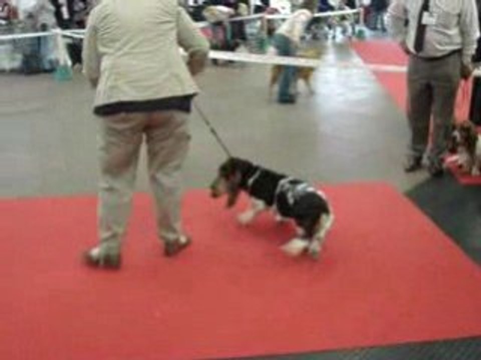 expo metz