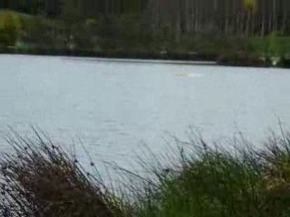 Drifter en vrille