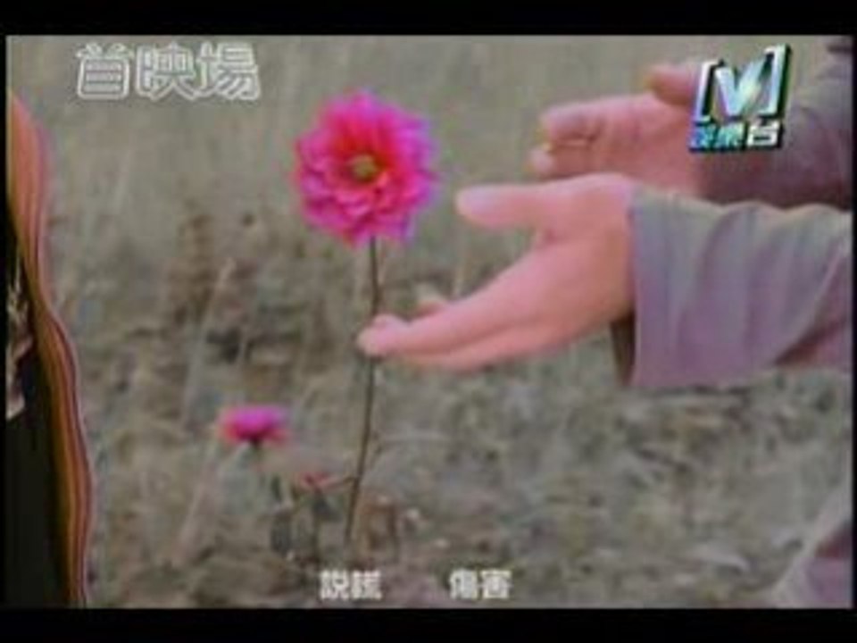 Angela Zhang(Don't want to Understand)x-kawai-japonais.x.sky