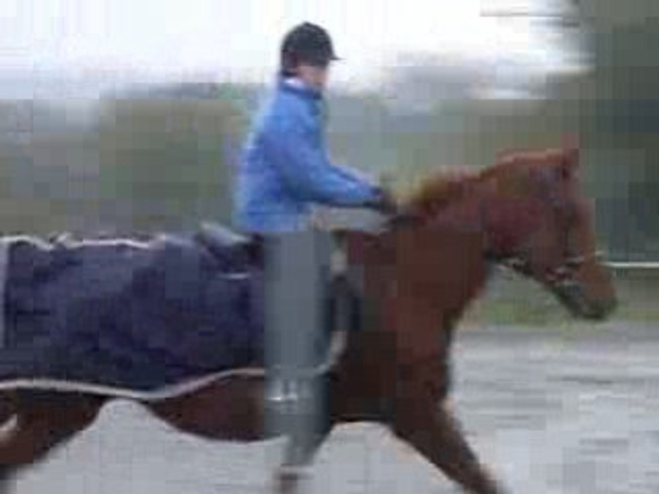 Ollavanfo d'Yff séance saut