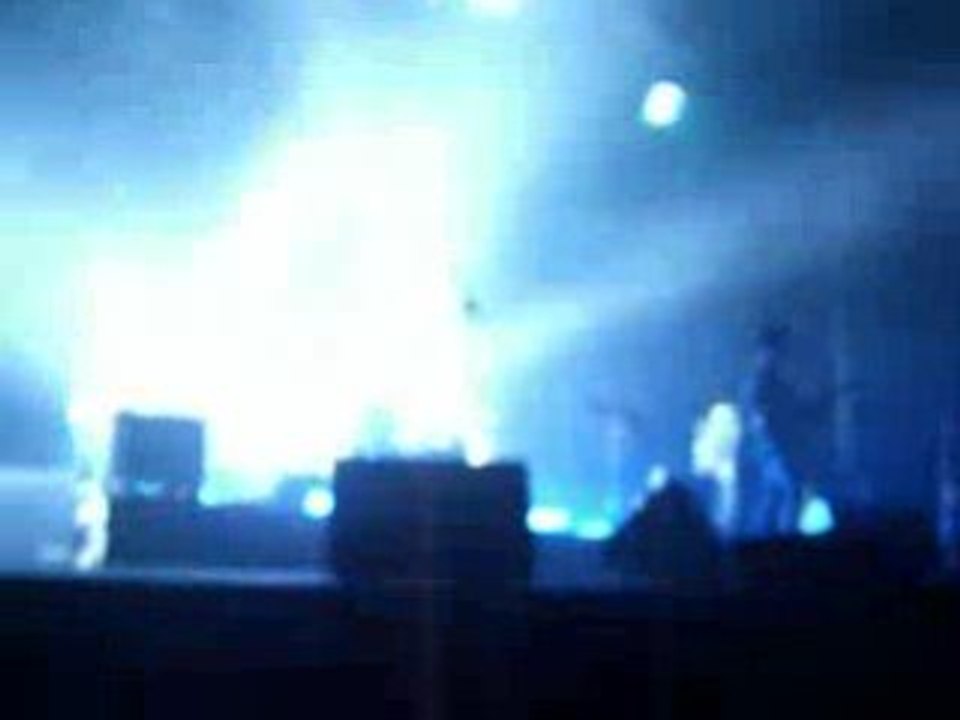 bb brune lille 30/10/08 perdus cette nuit