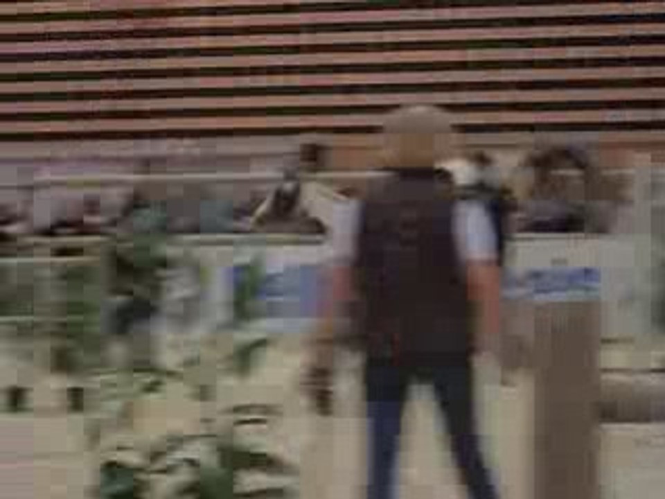 salon du cheval
