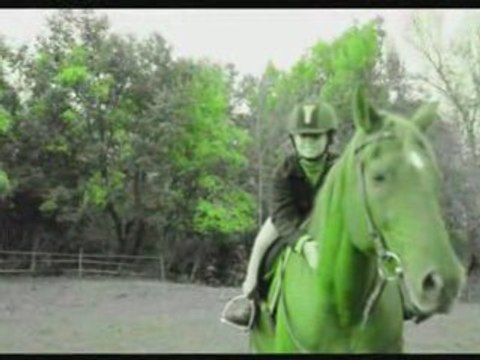 flambor mes sauts avec ce cheval de reve