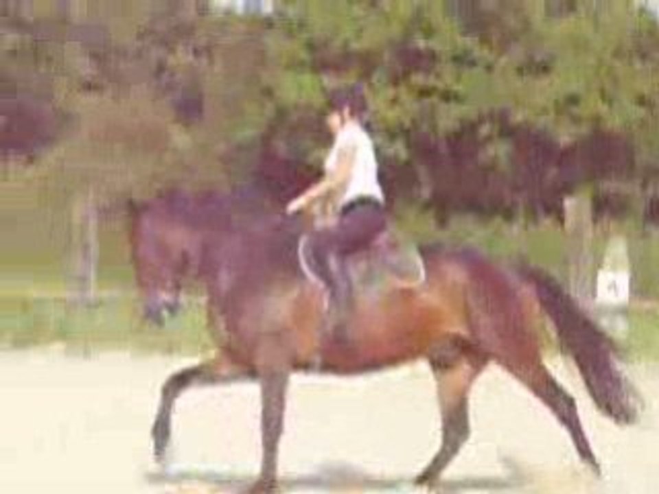 reprise galop 5