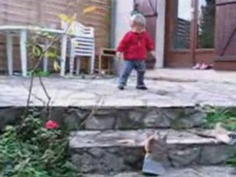 0811 ramassage de feuilles