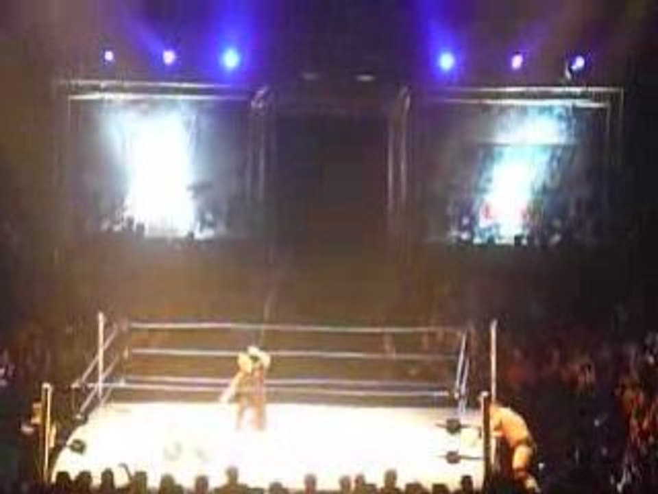 [WWE] Smackdown ECW Survivor Series NICE - Triple H victory