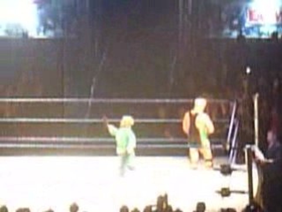 [WWE] Smackdown & ECW Survivor Series NICE -  Finlay & Horn.