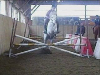 Nuts saut en liberte