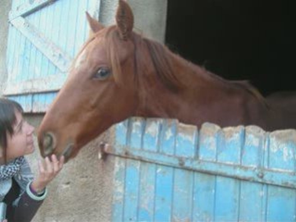 Montage photos vacances octobre 2008