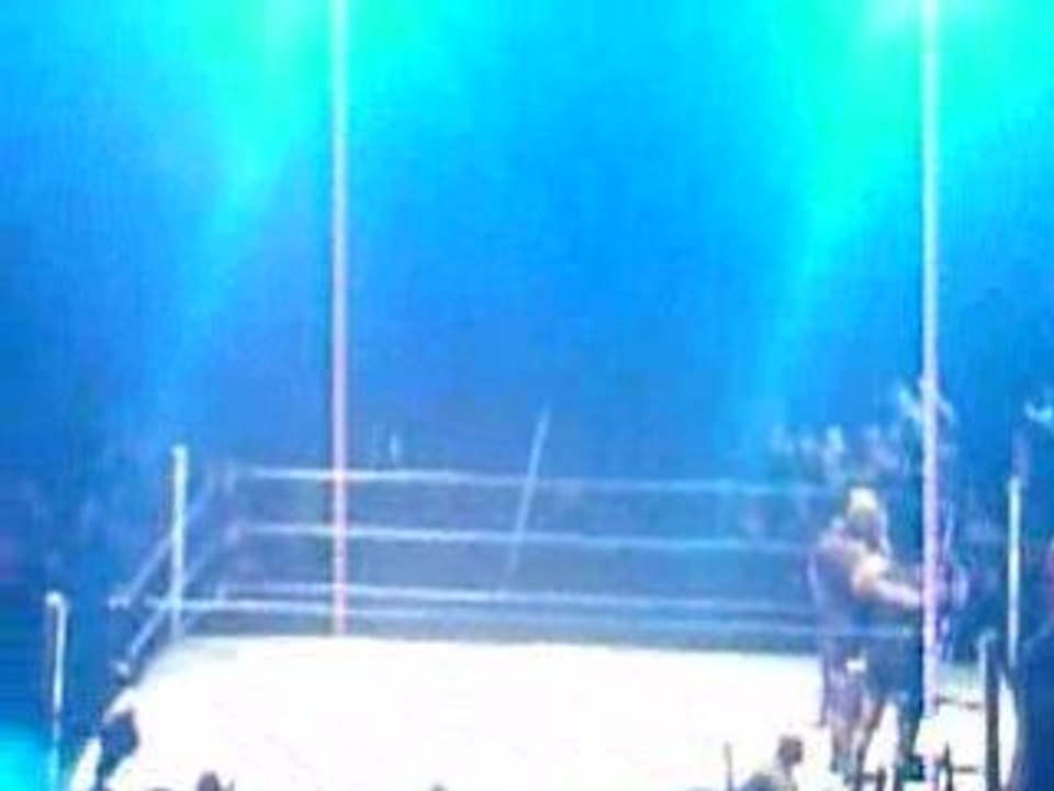 [WWE] Smackdown&ECW Survivor Series Matt Jeff Hardy Entrance