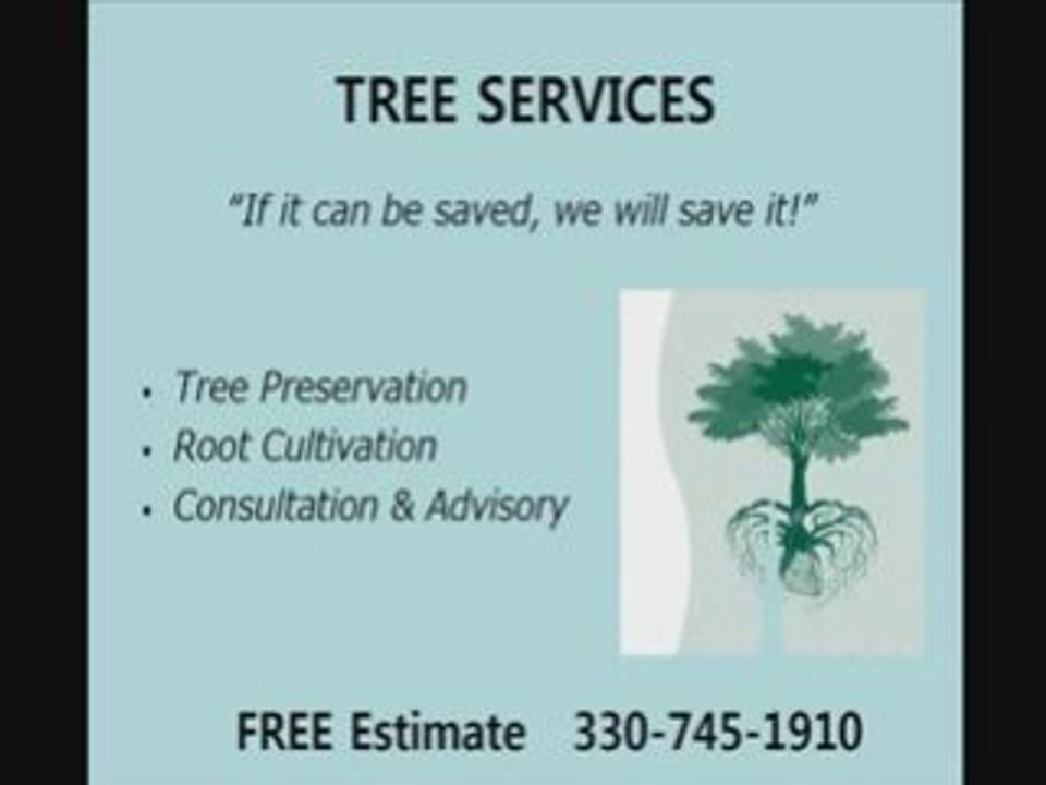 Termite & Pest Control Barberton Oh