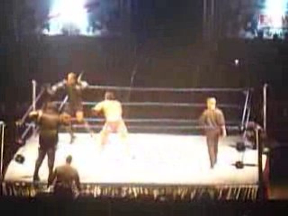 [WWE] Smackdown & ECW Survivor Series NICE - Matt Hardy/ MVP