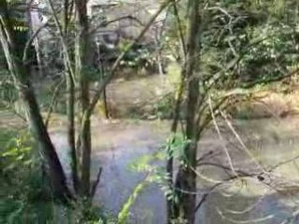 crue a aurec sur loire