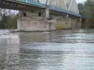 Muides sur Loire, Crue novembre 2008 (2)