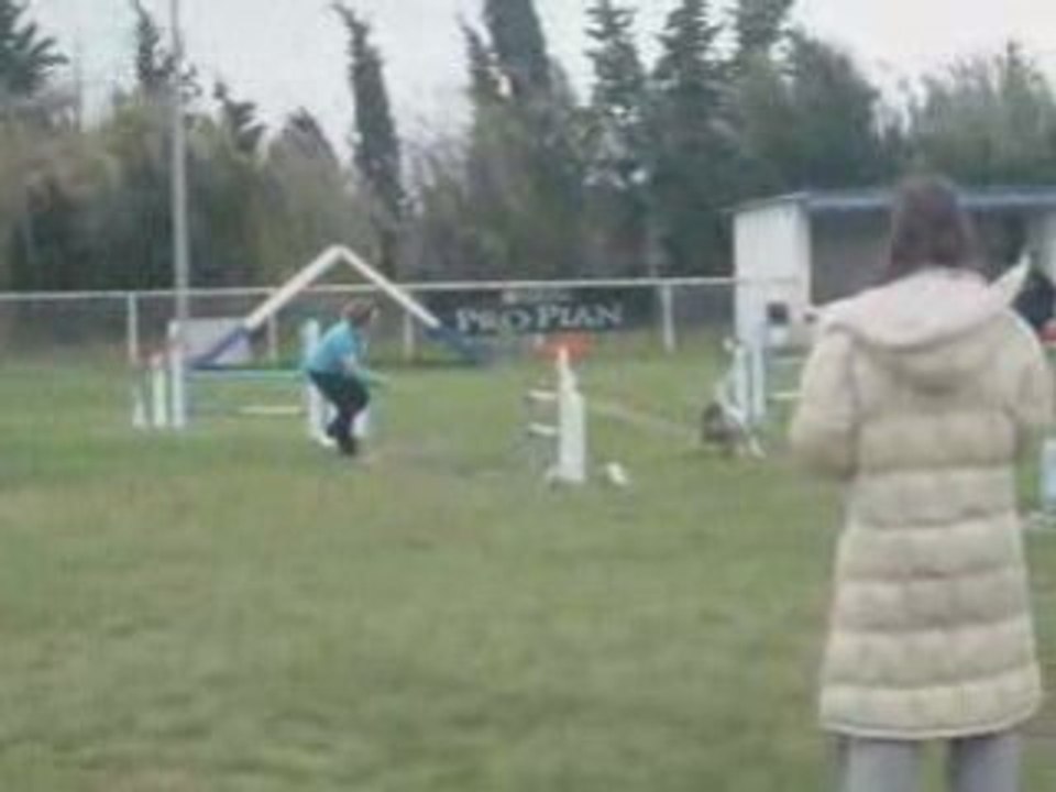 Sunnyjumpingchute